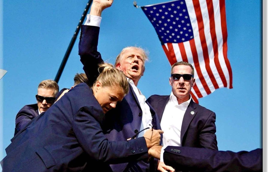 Americans Love a Winner